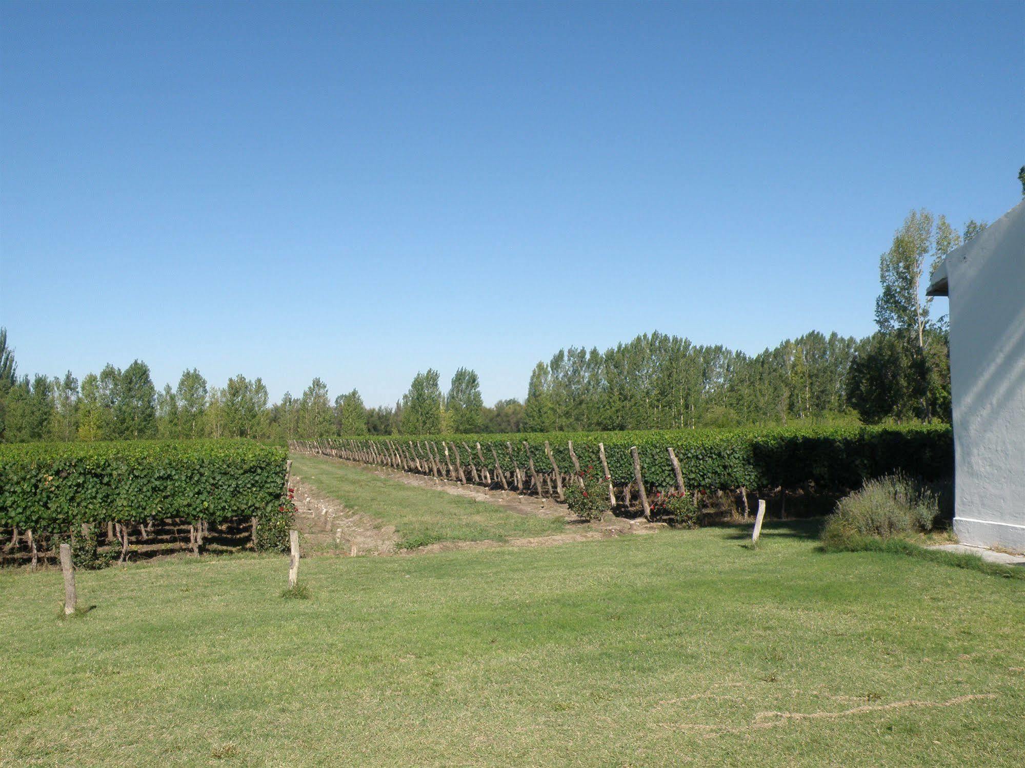 Postales Boutique Winery Hotel - Valle De Uco Colonia Las Rosas Exteriér fotografie