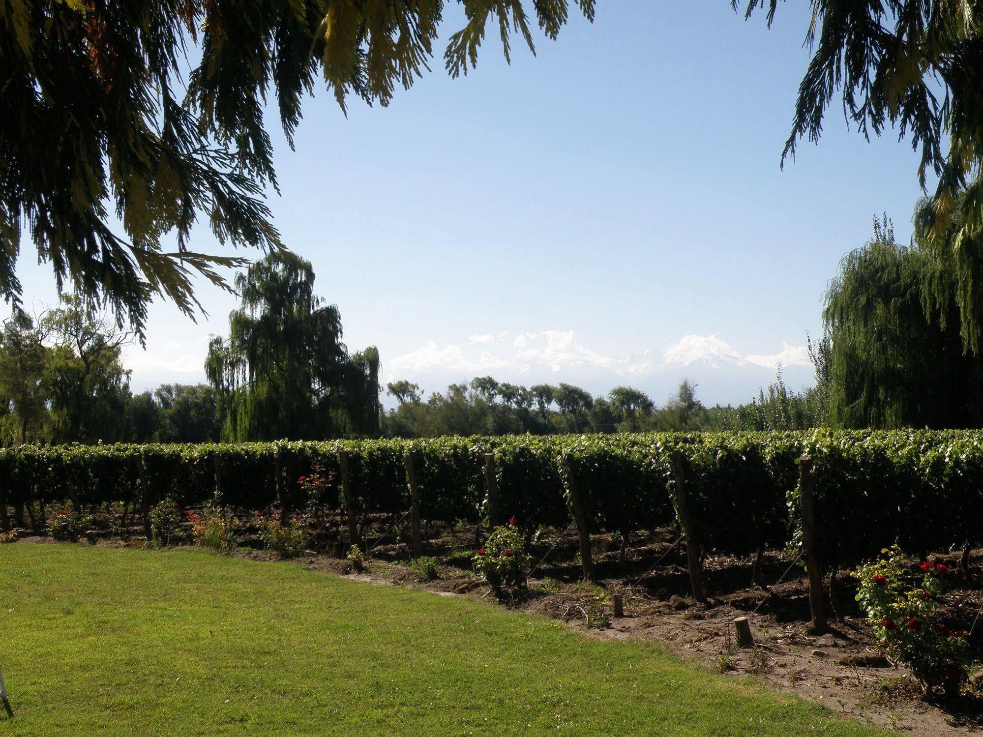 Postales Boutique Winery Hotel - Valle De Uco Colonia Las Rosas Exteriér fotografie